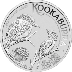Kookaburra 1kg Argent avers
