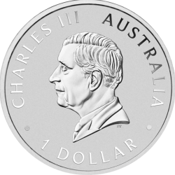 Aigle Australien Argent 1 Once | Pièce Argent Perth Mint